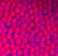 Thumbnail for Glowing Pink 4mm Sugar Pearls - Cool Mom Sprinkles