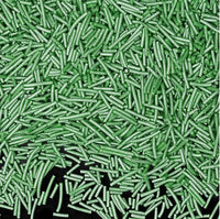 Thumbnail for Pearlized Green All Natural Jimmies Sprinkles 💟 - Cool Mom Sprinkles