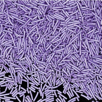 Thumbnail for Pearlized Purple All Natural Jimmies Sprinkles 🌿 - Cool Mom Sprinkles
